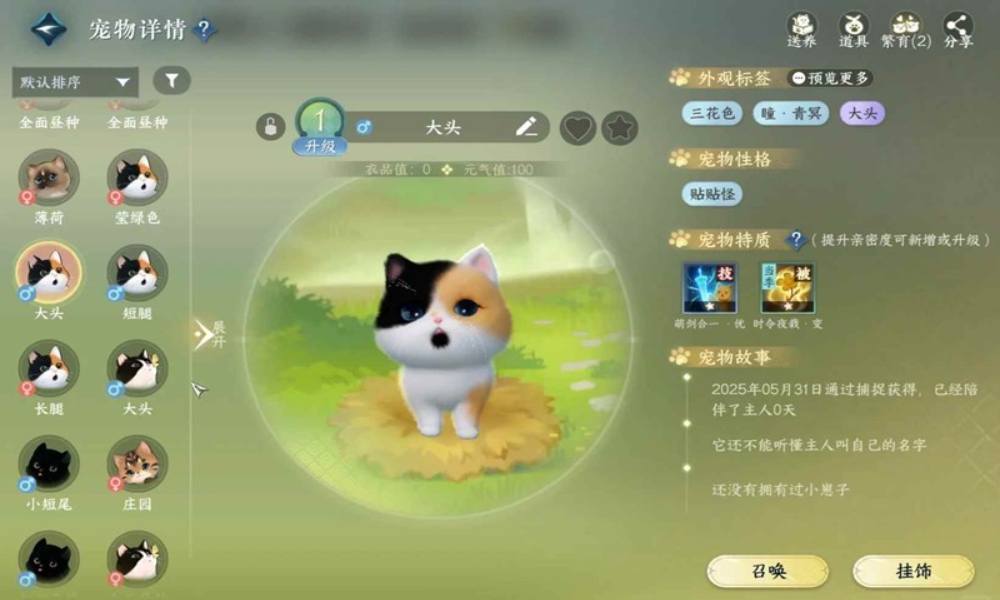 逆水寒手游育宠保姆级教程 逆水寒怎么捕捉宠物