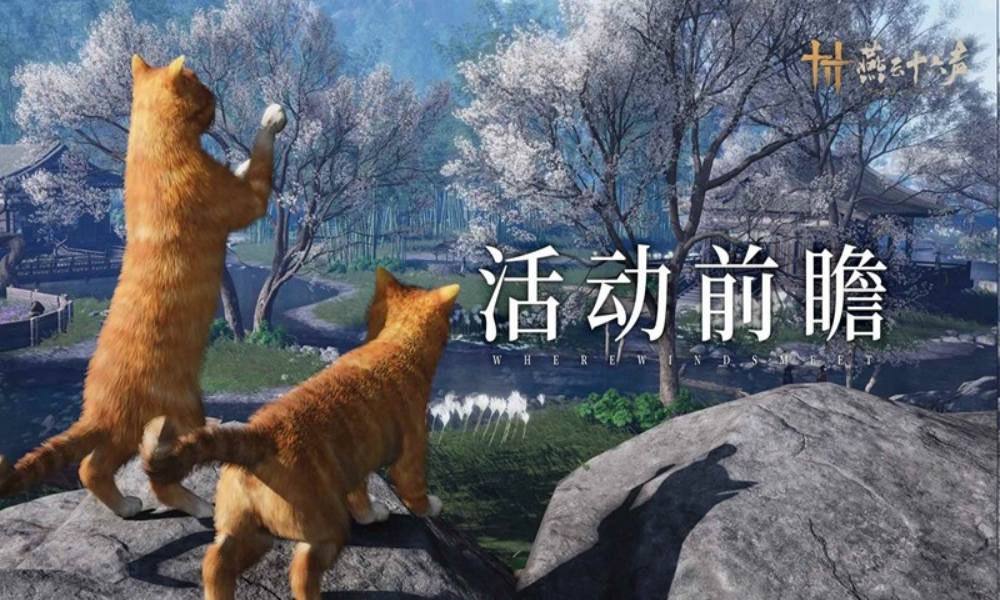 燕云十六声活动前瞻说明 妙喵猫裹宝游四海