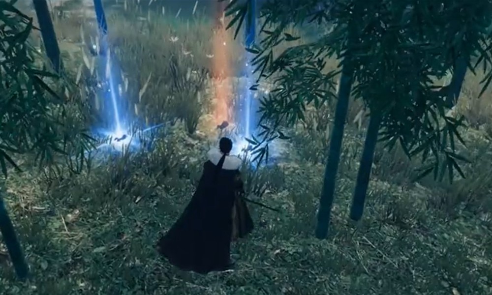 下一站江湖2荒漠之花任务怎么完成 荒漠之花任务攻略