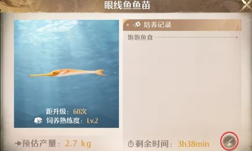 无限暖暖家园养鱼怎么提升熟练度 养鱼技巧分享