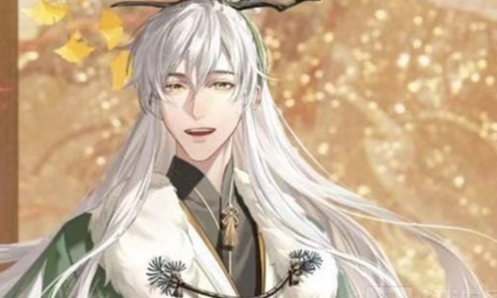 如鸢新手最佳国家队是什么 如鸢不死流T0国家队推荐