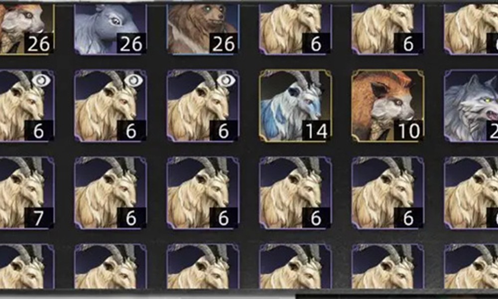 荒原曙光宠物怎么选 宠物选择与驯养方法