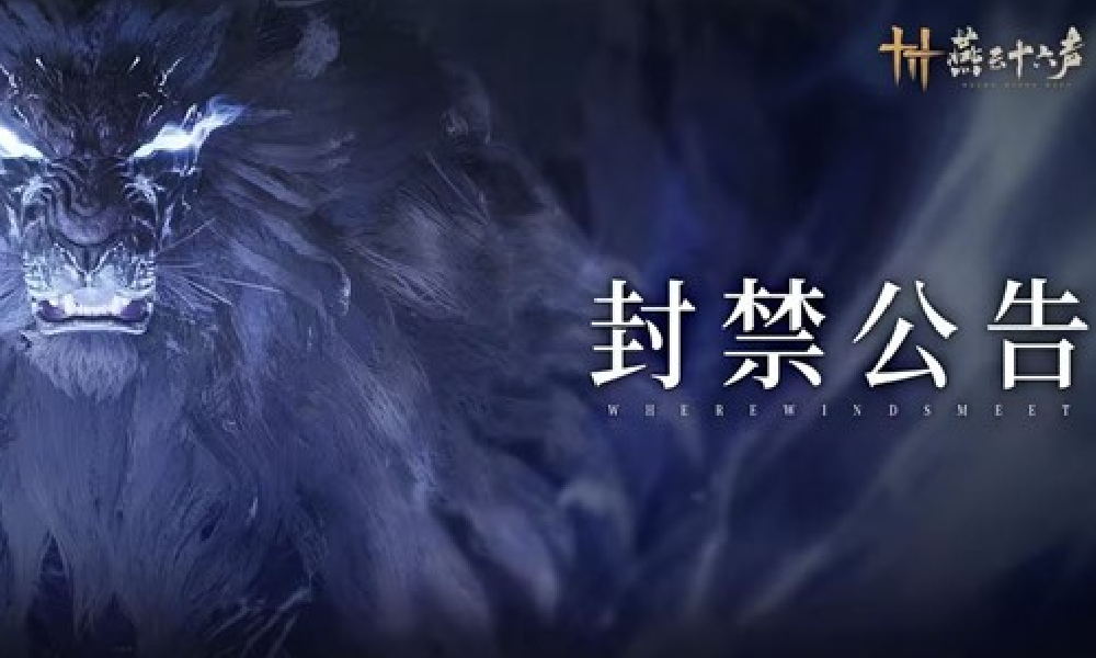 燕云十六声持续打击违规行为 封禁大量违规外挂账号