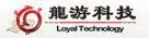石家庄龙游科技有限公司