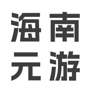 海南元游信息技术有限公司