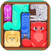 萌猫挤一挤