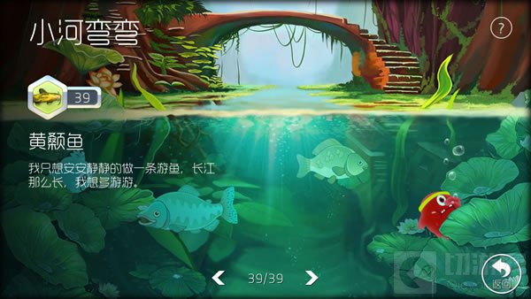 进化39级