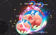 球球大作战会飞的红猪侠搭配超新星守护图片