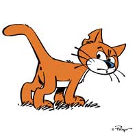 阿兹猫