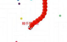 贪吃蛇大作战花体字名字怎么弄 名字设置攻略