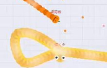 贪吃蛇大作战怎么阻止被包围 防止被包围技巧