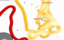 贪吃蛇大作战团战获胜有奖励吗 奖励是什么