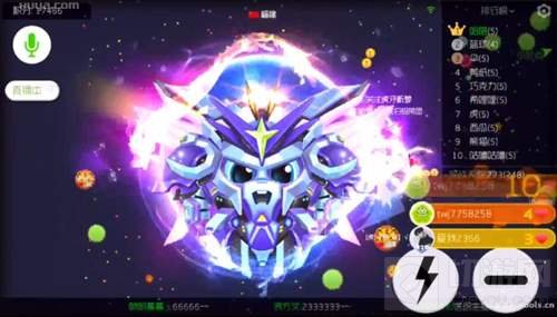 球球大作战飞龙在天搭配满级圣光游戏截图欣赏