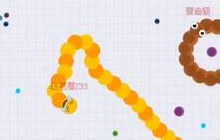 贪吃蛇大作战个人怎么保命 自由保命技巧分享