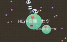 球球大作战刷粉丝网站 每天100粉丝怎么刷出来