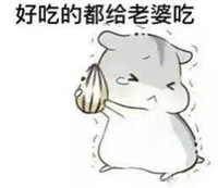 球球大作战萌萌哒仓鼠表情包 就是要你爱不释手