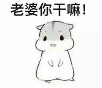 球球大作战萌萌哒仓鼠表情包 就是要你爱不释手