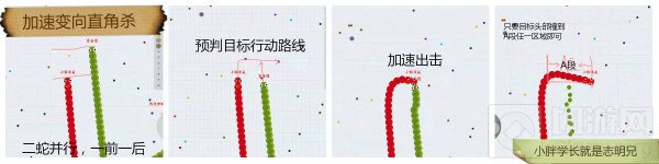 贪吃蛇大作战直角杀是怎么回事 直角杀攻略
