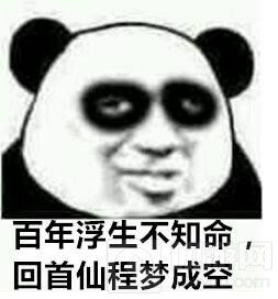球球大作战修仙是什么梗 修仙表情包高清下载