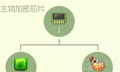 球球大作战生物加密芯片可合成哪些圣衣解答