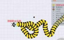 贪吃蛇大作战高分秘籍 刷高分技巧攻略分享