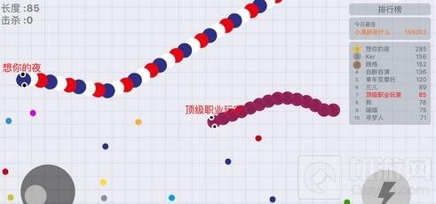 贪吃蛇大作战生存法则 小蛇变大蛇的成长技巧