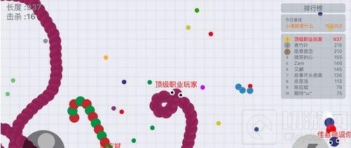 贪吃蛇大作战误区解析 避开误区稳定得高分