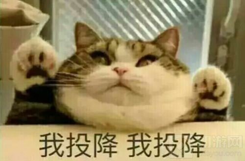 球球大作战城市挑战赛成都站 奥克斯广场有人聚众玩球