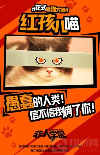 4.12去猫岛开黑 非人学园开启花式吸猫大赛