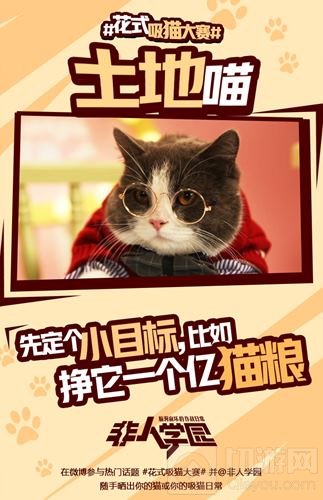 4.12去猫岛开黑 非人学园开启花式吸猫大赛