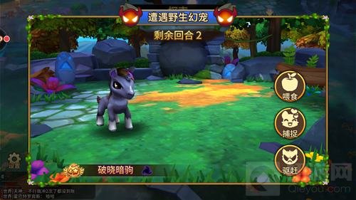 《幻宠学院》探索的秘密 收服野生幻宠指南