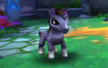 《幻宠学院》探索的秘密 收服野生幻宠指南