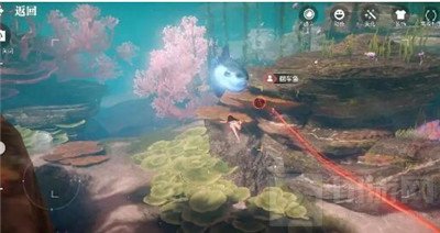 天谕手游汐愿之海鱼