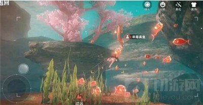 天谕手游汐愿之海鱼