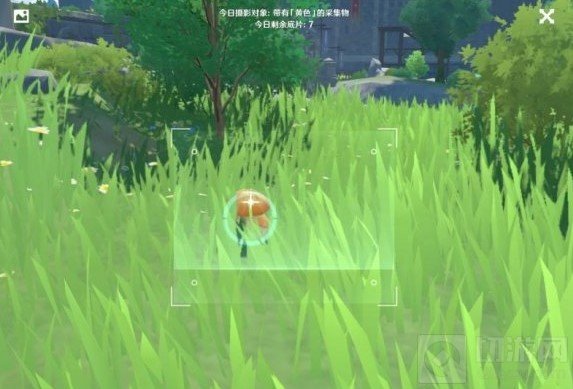 原神黄色的采集物有哪些 福至五彩黄色采集物拍摄位置介绍