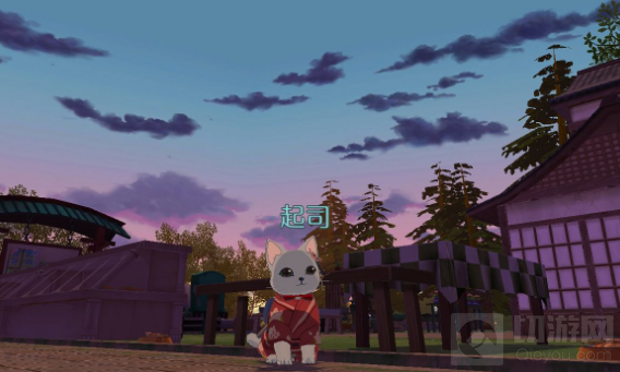 小森生活养猫攻略大全