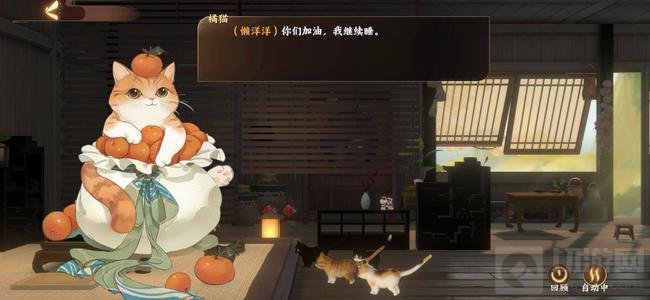 仙喵指路捉猫