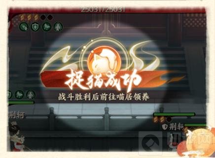 仙喵指路捉猫