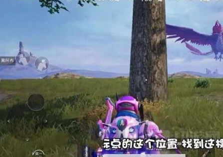 和平精英在哪里炸水花 炸水花打卡地点位置坐标大全
