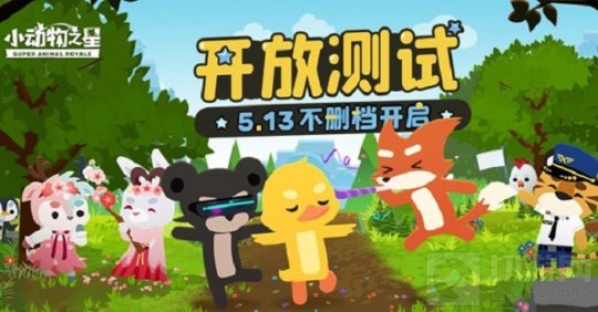小动物之星