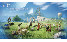 诺亚之心元素试炼17层怎么打 元素试炼第17层打法攻略