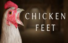 生存《Chicken Feet》10月25日发售 公鸡来了，快跑